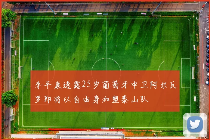 李平康透露25岁葡萄牙中卫阿尔瓦罗即将以自由身加盟泰山队