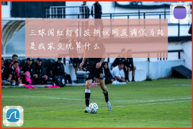 三球闯红灯引发热议网友调侃马路是我家交规算什么
