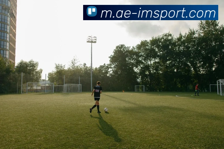 App Interface Preview