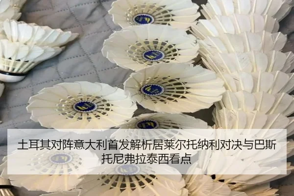 土耳其对阵意大利首发解析居莱尔托纳利对决与巴斯托尼弗拉泰西看点（IMSPORTS）